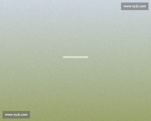 力劈华山！史密斯隔人补扣领衔总决赛十佳球