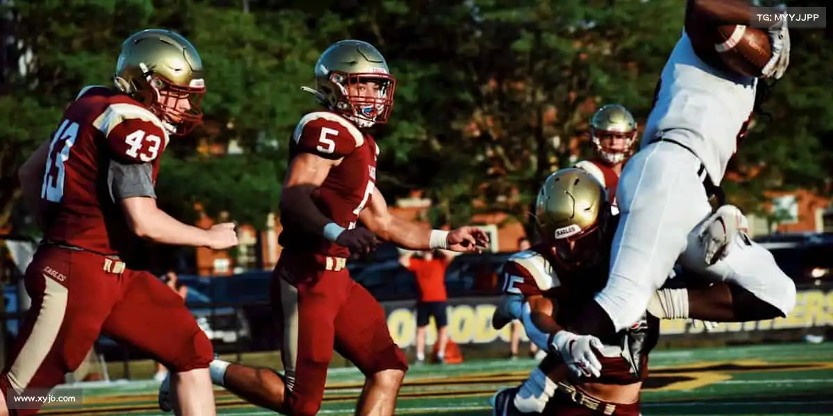 行业领先的理由